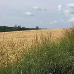 Ferme Du Bois Du Pouget * La Salvetat-Belmontet