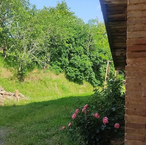 Ferme Du Bois Du Pouget * La Salvetat-Belmontet