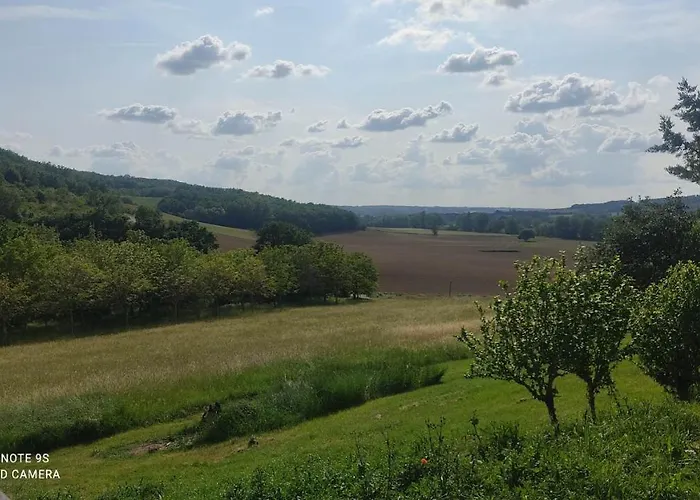 Ferme Du Bois Du Pouget La Salvetat-Belmontet