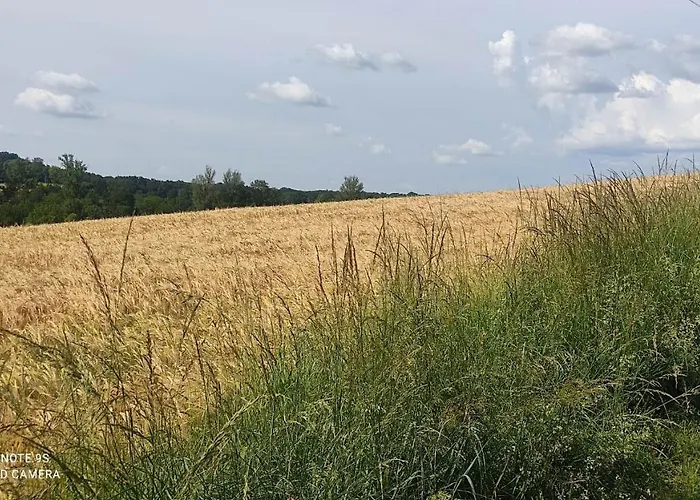 Ferme Du Bois Du Pouget * La Salvetat-Belmontet
