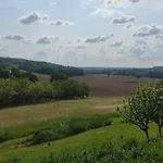 Ferme Du Bois Du Pouget La Salvetat-Belmontet