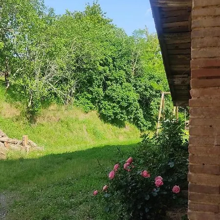 Ferme Du Bois Du Pouget * La Salvetat-Belmontet