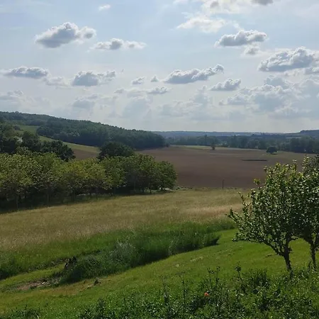 Ferme Du Bois Du Pouget La Salvetat-Belmontet