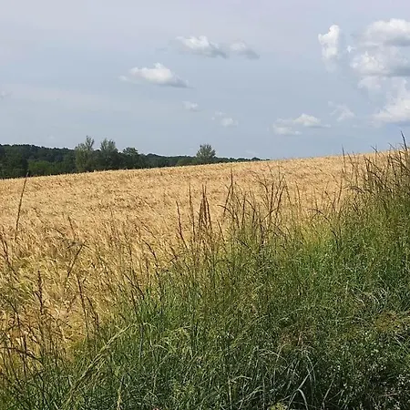 Ferme Du Bois Du Pouget * La Salvetat-Belmontet